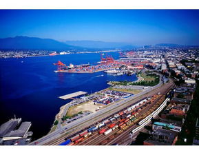 油價(jià)重返50美元曙光乍現(xiàn),頁巖油企業(yè)卻要倒在黎明前